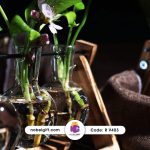 گلدان تبلیغاتی مدل اریب 3 قلو بدون گل - Image 3