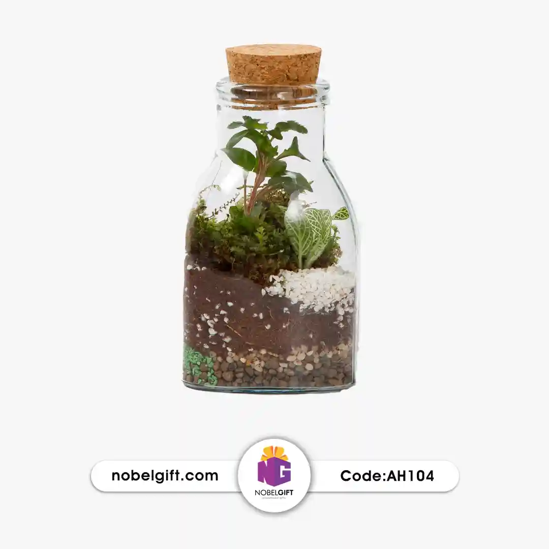 AH104 گلدان تراریوم تبلیغاتی