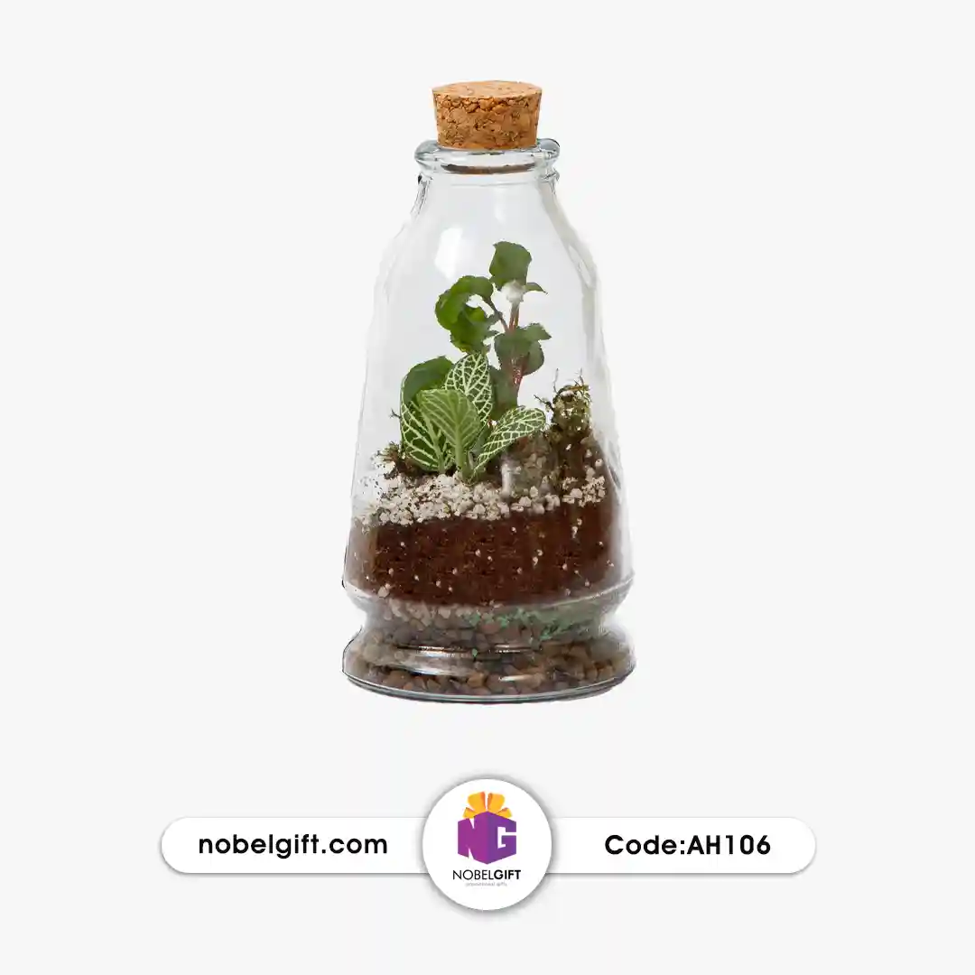 AH106 گلدان تراریوم استوانه ایی تبلیغاتی