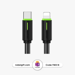 شارژر تبلیغاتی YM318