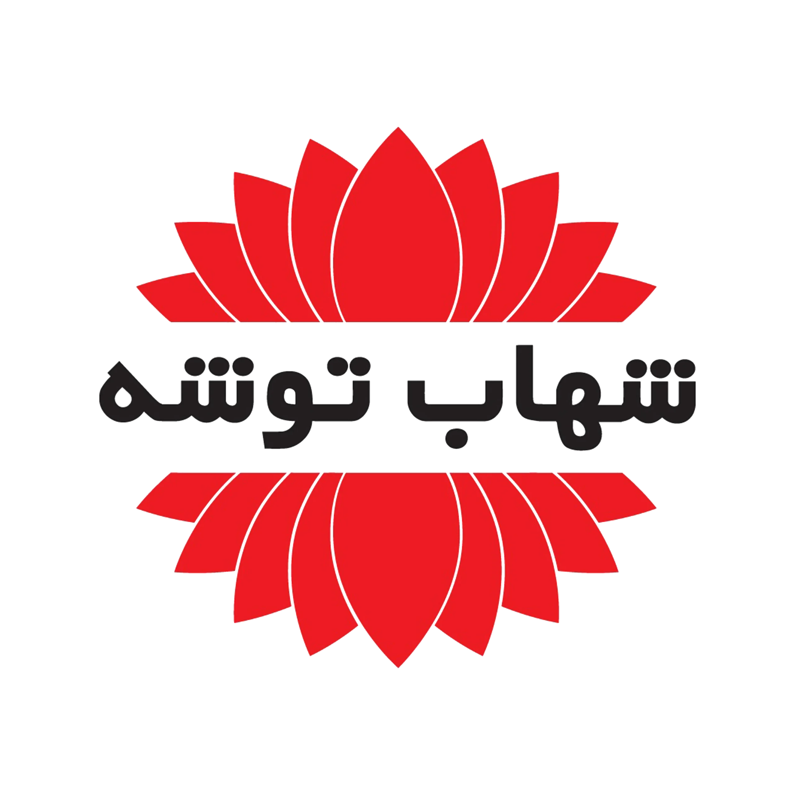 شهاب توشه